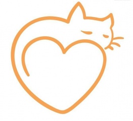 Sibesoin.com petite annonce gratuite 1 Cherche chaton à adopter 